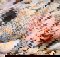 Stokes National Park - Accommodation Rockhampton