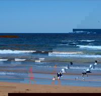 Surf Beach Batemans Bay - Accommodation Rockhampton