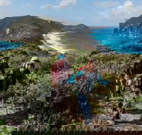 Torndirrup National Park - Accommodation Rockhampton