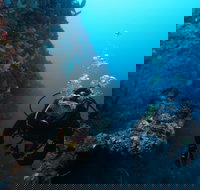 Twelve Apostles Marine National Park - Accommodation Rockhampton