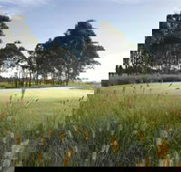 Twin Creeks Golf and Country Club - Accommodation Rockhampton