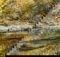 Warrabah National Park - Accommodation Rockhampton