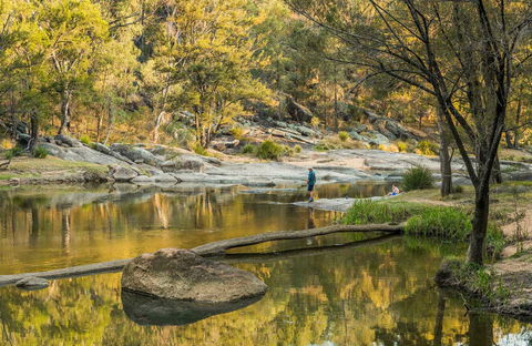 Warrabah National Park - Accommodation Rockhampton 0