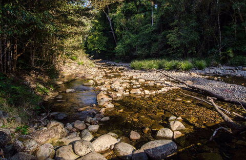 Wilson River Picnic Area - Accommodation Rockhampton 0