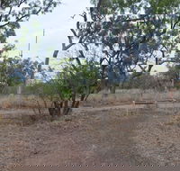 Alexander Forest Memorial - Accommodation Rockhampton