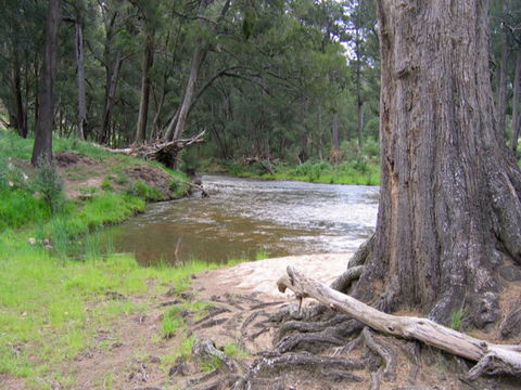 Bangadilly National Park - Accommodation Rockhampton 0