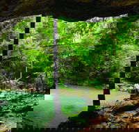 Buderim - Accommodation Rockhampton