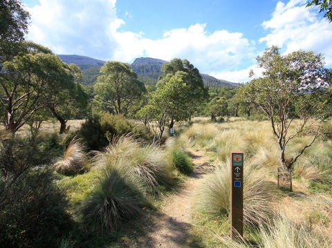 Bullocks Walking Track - Accommodation Rockhampton 2