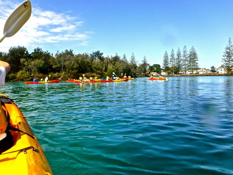 Byron Bay River Nature Kayak Tour - Accommodation Rockhampton 0