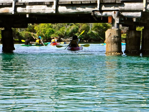 Byron Bay River Nature Kayak Tour - Accommodation Rockhampton 1