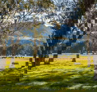 Coast to the Highlands Scenic Drive  Kangaroo Valley - Accommodation Rockhampton