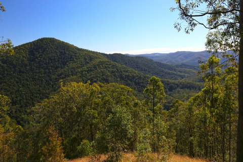 Conondale National Park - Accommodation Rockhampton 0