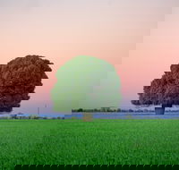 Condamine