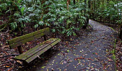 Coombadjha Nature Stroll - Accommodation Rockhampton 0