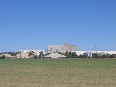 Co-operative Bulk Handling (CBH) Wheat Storage And Transfer Depot - Accommodation Rockhampton 1