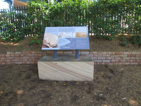 Coxs Road Interpretive Trail - Accommodation Rockhampton 0