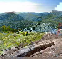 Dubbo Gully Loop Trail - Accommodation Rockhampton