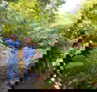 Endeavour Fern Gully Walks - Accommodation Rockhampton