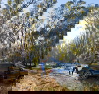 Forest Drive Murrumbidgee Valley National Park - Accommodation Rockhampton