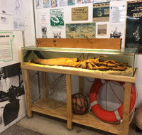 George The Giant Squid Display Wallaroo - Accommodation Rockhampton