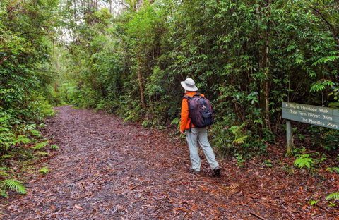 Gibraltar-Washpool World Heritage Walk - Accommodation Rockhampton 0