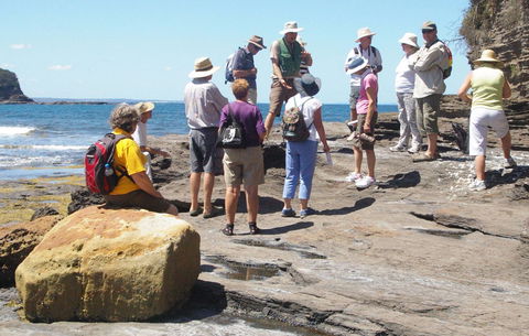 Gondwana Coast Fossil Walk - Accommodation Rockhampton 0