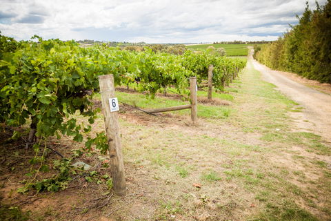 Grove Estate Wines - Accommodation Rockhampton 0