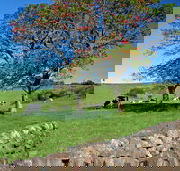 Historic Dry Stone Walls Kiama - Accommodation Rockhampton