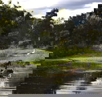 Hunter Wetlands Centre - Accommodation Rockhampton