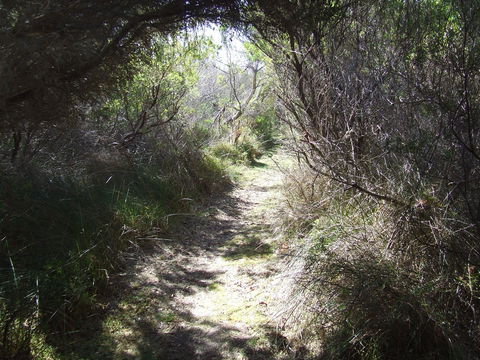 Jack And Hilda McArthur Walk - Accommodation Rockhampton 0