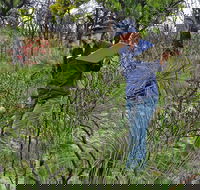 Lake Monjingup - Accommodation Rockhampton