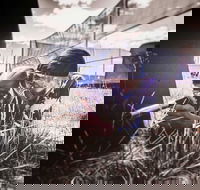 Luddenham Raceway Paintball - Accommodation Rockhampton