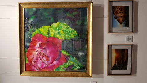 Macleay Valley Community Art Gallery - Accommodation Rockhampton 0