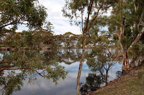 Merredin Railway Dam - Accommodation Rockhampton 0
