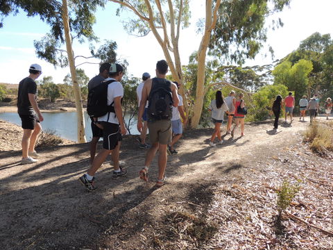 Merredin Railway Dam - Accommodation Rockhampton 1