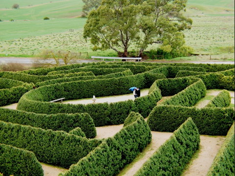 Mintaro Maze - Accommodation Rockhampton 1