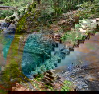 Mobong walking track - Accommodation Rockhampton