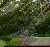 Moonpar Forest drive - Cascade National Park - Accommodation Rockhampton