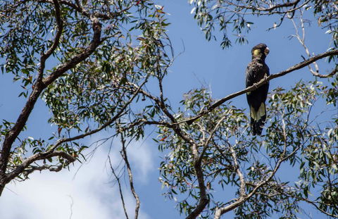 Mummel Gulf National Park - Accommodation Rockhampton 0