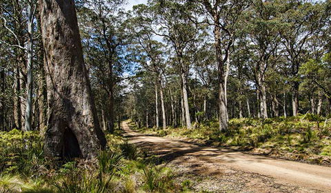 Mummel Gulf National Park - Accommodation Rockhampton 1