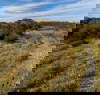 Murramarang Aboriginal Area Walking Track - Accommodation Rockhampton