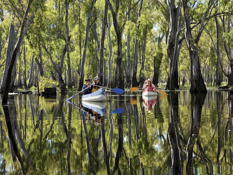 Murray River Canoe Trails - Accommodation Rockhampton 0