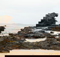 Mystery Bay Short Walk - Accommodation Rockhampton
