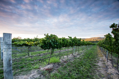 Nature And Foodies Trail - Accommodation Rockhampton 0