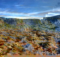 New England National Park - Accommodation Rockhampton