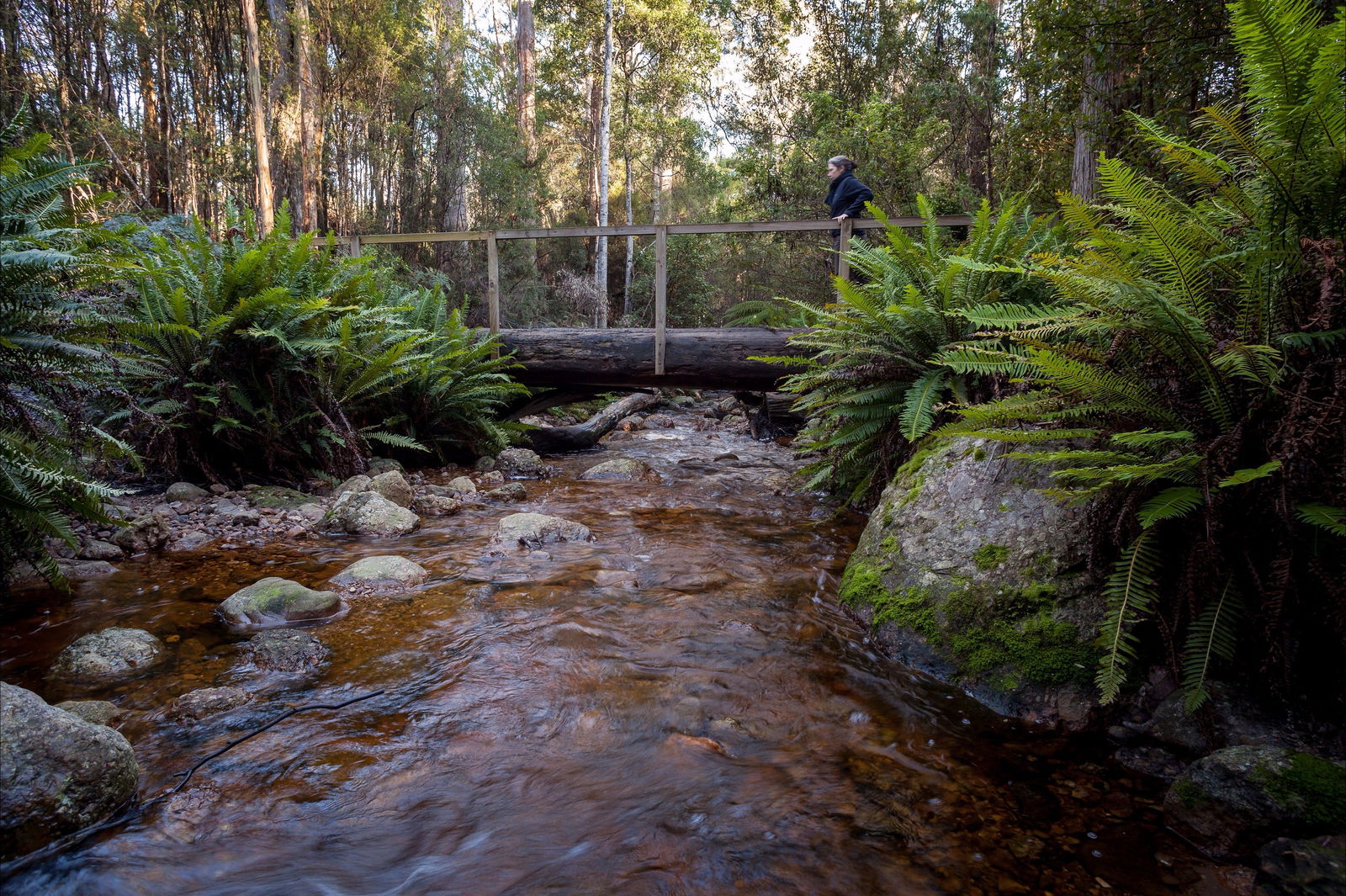 Gowrie Park TAS Accommodation Rockhampton