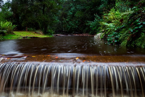 O'Neills Creek Picnic Reserve - Accommodation Rockhampton 1
