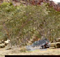 Owen Springs Reserve - Accommodation Rockhampton