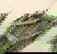 Pebbly Beach to Snake Bay walking track - Accommodation Rockhampton