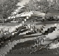 Pioneer Park - Accommodation Rockhampton